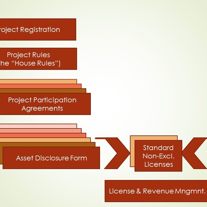 Software Project IP Mngmnt